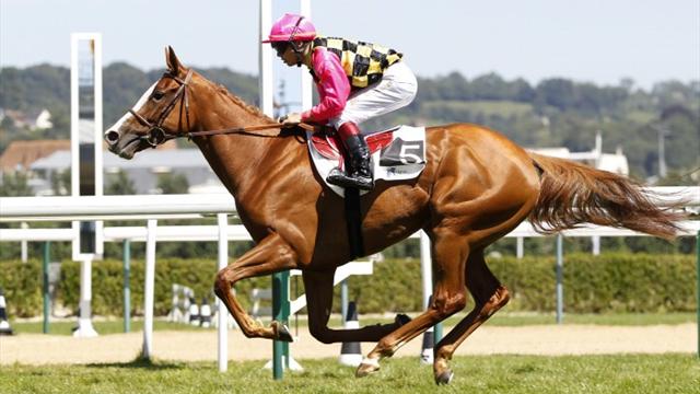 887016-14880001-640-360 (1)